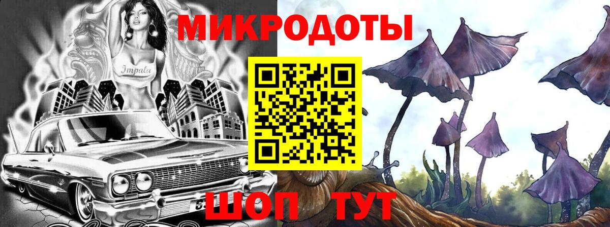 Псилоцибиновые грибы Psilocybine cubensis Магадан