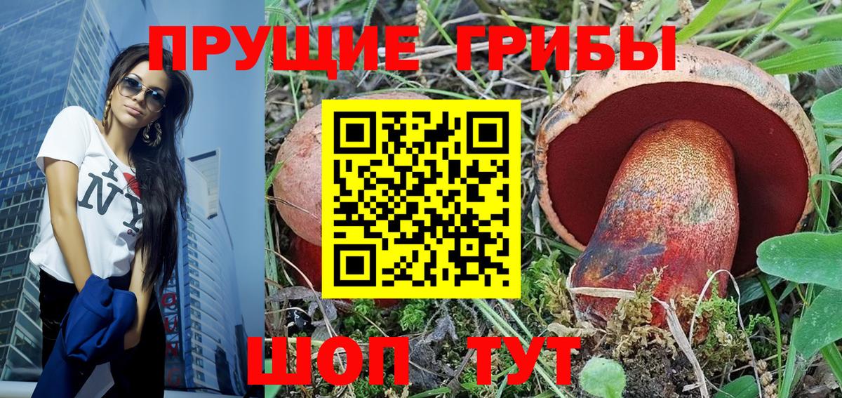 Магадан  как найти закладки  Вход с VPN  Псилоцибиновые грибы ЛСД 